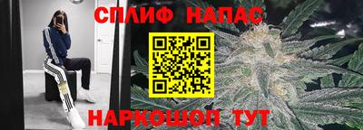 меф Кингисепп