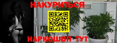 меф Кингисепп