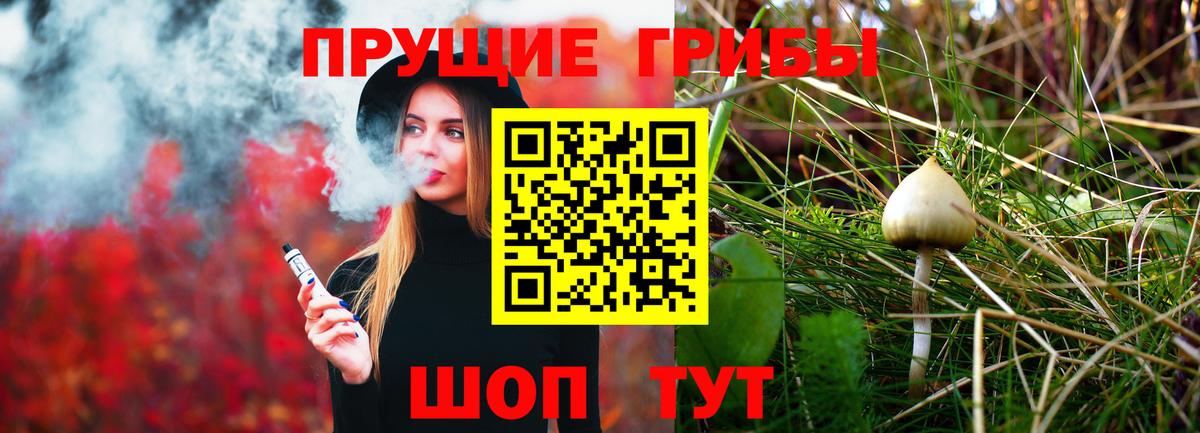Псилоцибиновые грибы мицелий Королёв